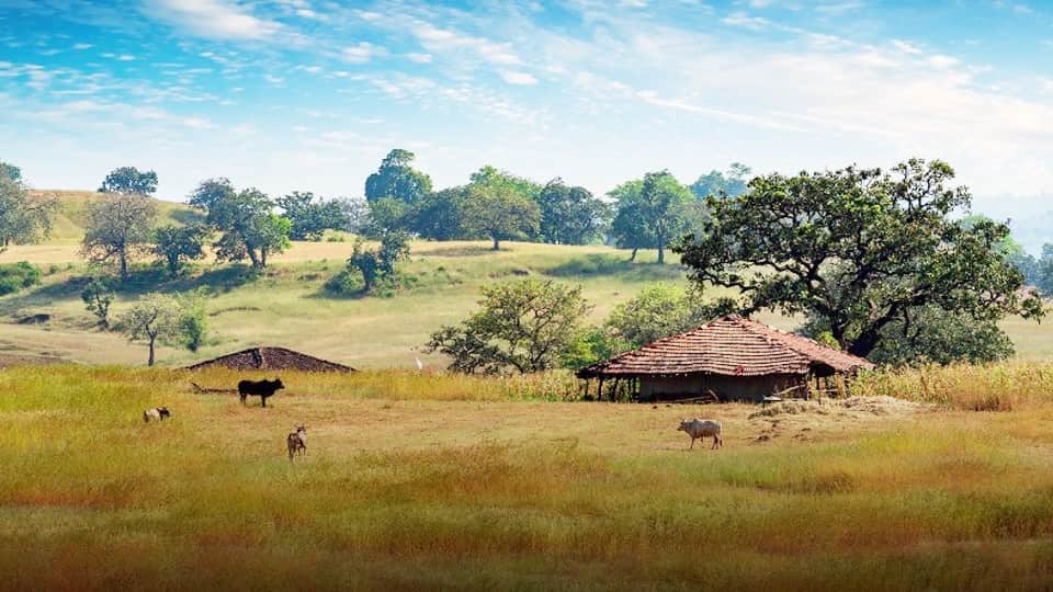 World Photography Day: Historical heritage of Madhya Pradesh will make your photography beautiful