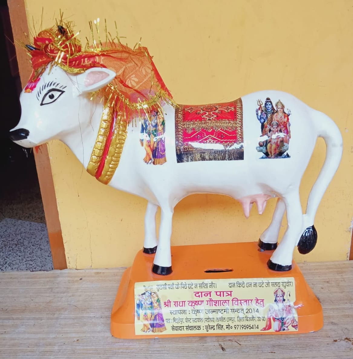 Farmer couple supported Kanhaiya's cows