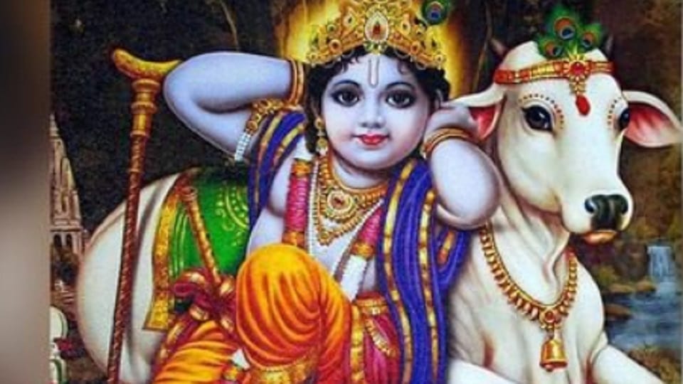 UP : Today Janmashtami will be celebrated with pomp in 6200 cowsheds