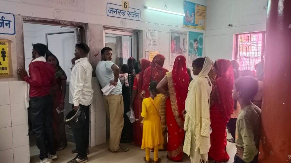 Rats bitten CBC machine wire, probe disrupted