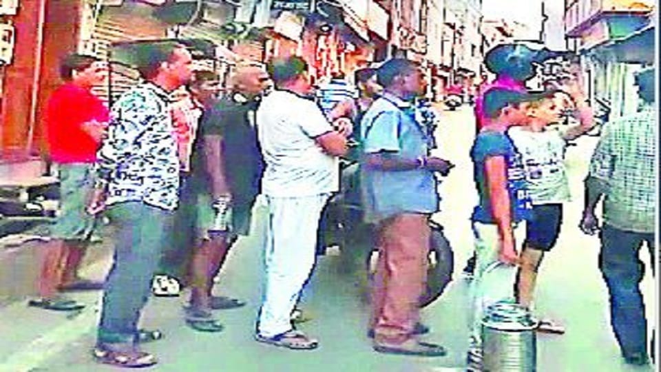 More than 250 monkeys occupied street in Kalamahal Agra News