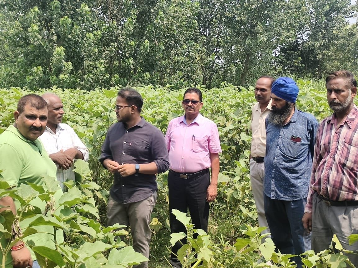 CDO visited organic crops