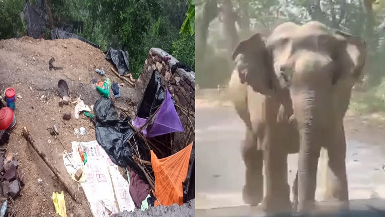 Elephant attacked laborers one died in Rishikesh Shivpuri