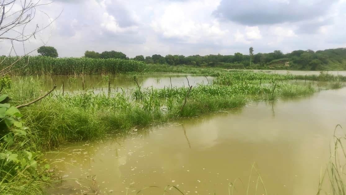 Hundreds of acres of crops submerged, lost contact with Gohani Kala