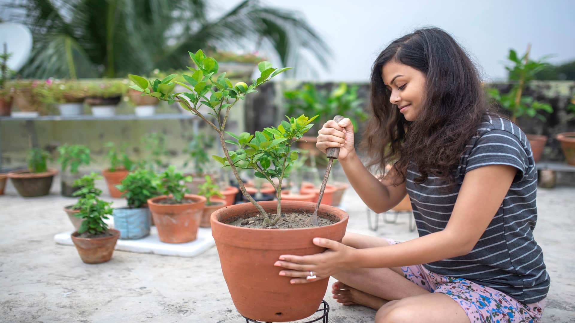 Gardening Tips For Beginners To Create Green Home Garden in Hindi