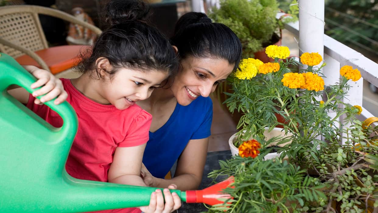 Gardening Tips For Beginners To Create Green Home Garden in Hindi