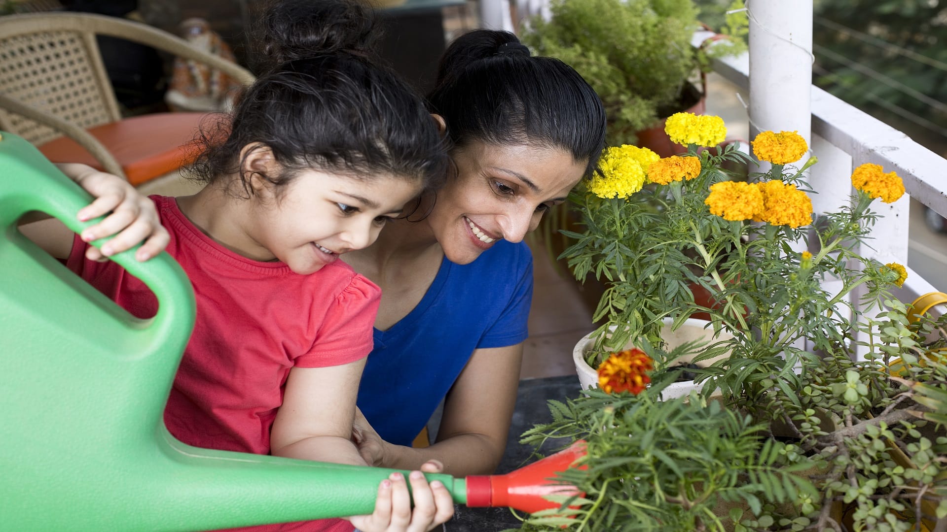 Small Space Gardening Tips at Home in Hindi