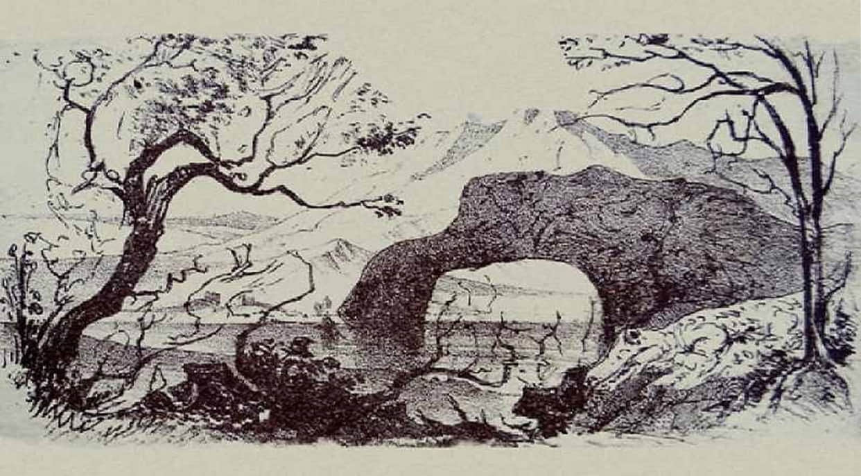 Optical Illusion If You Find The Seven Animal And One Human Hidden In This Image In 20 Seconds