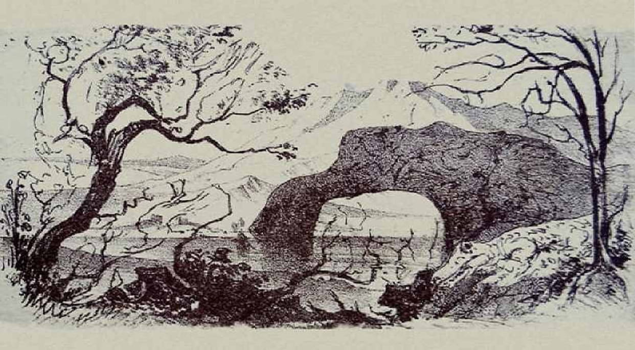 Optical Illusion If You Find The Seven Animal And One Human Hidden In This Image In 20 Seconds