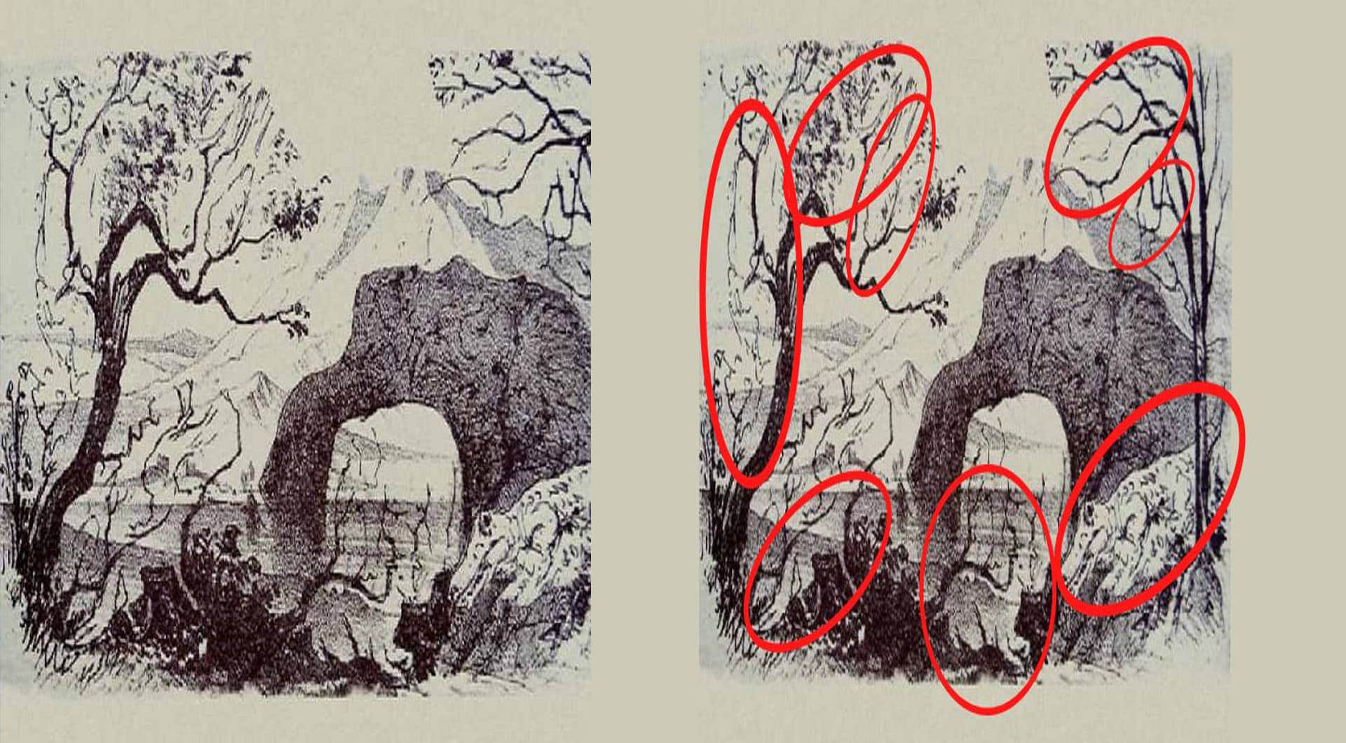 Optical Illusion If You Find The Seven Animal And One Human Hidden In This Image In 20 Seconds