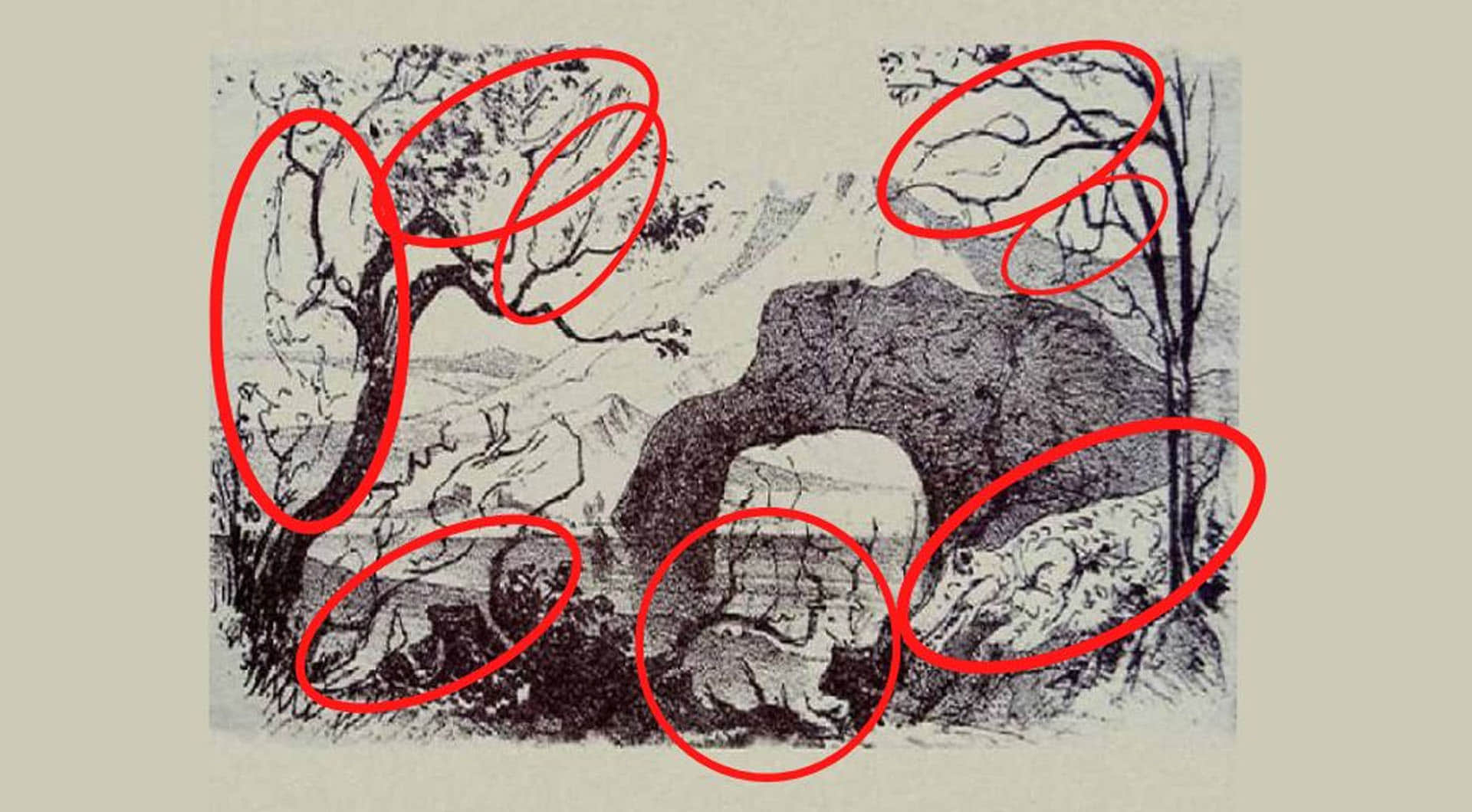 Optical Illusion If You Find The Seven Animal And One Human Hidden In This Image In 20 Seconds