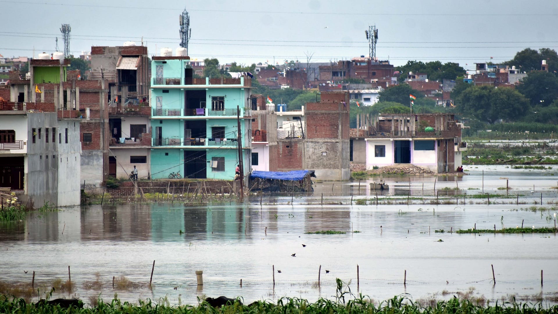 Ganga and Yamuna river water has started filling in the low-lying areas of Prayagraj, people started moving to