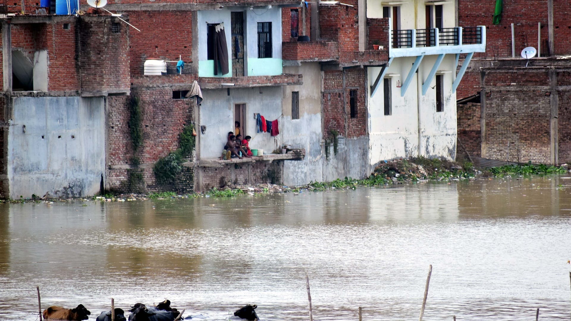 Ganga and Yamuna river water has started filling in the low-lying areas of Prayagraj, people started moving to