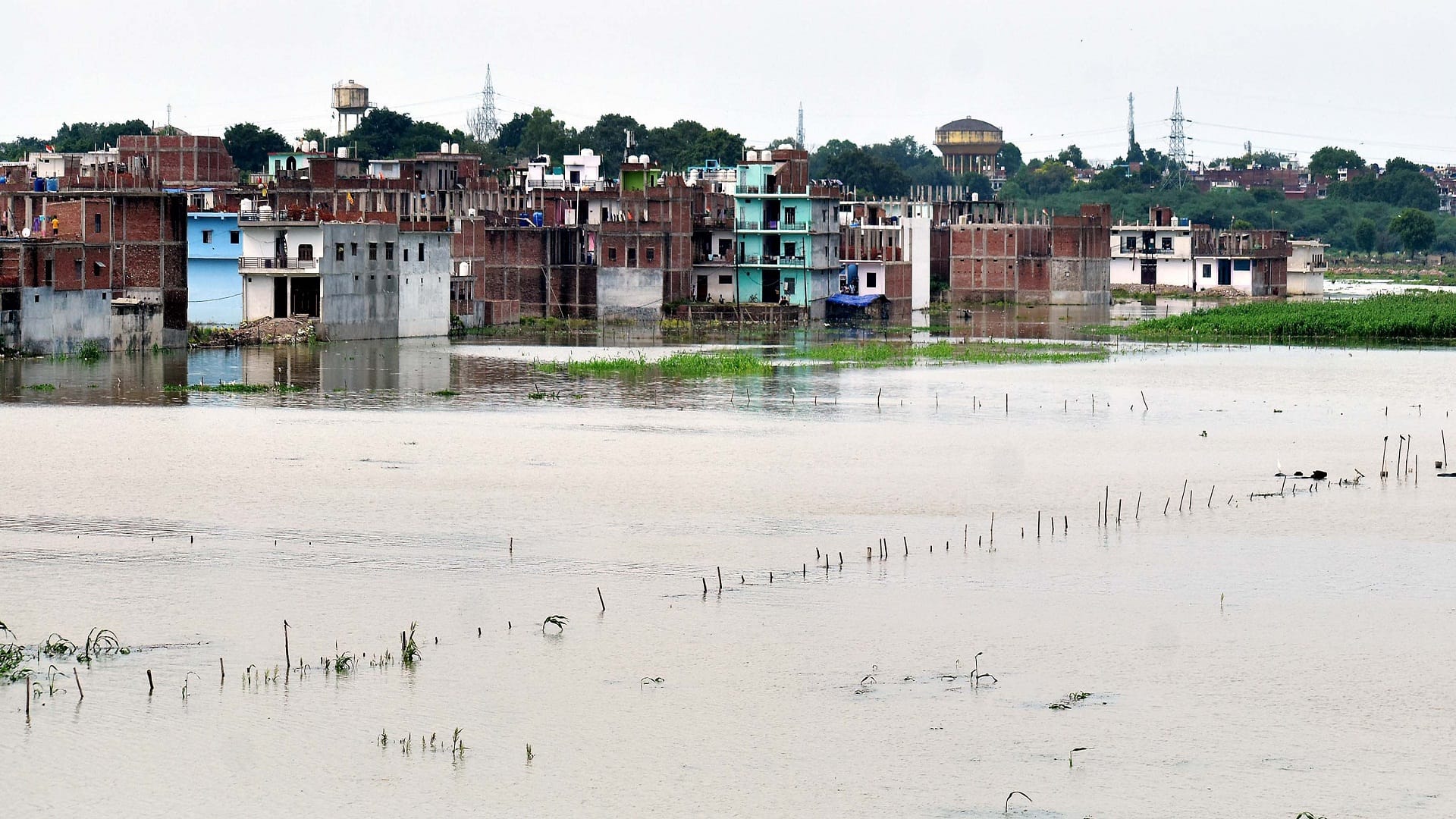 Ganga and Yamuna river water has started filling in the low-lying areas of Prayagraj, people started moving to