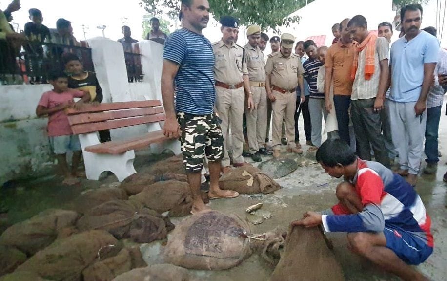 Two smuggler women arrested with turtle