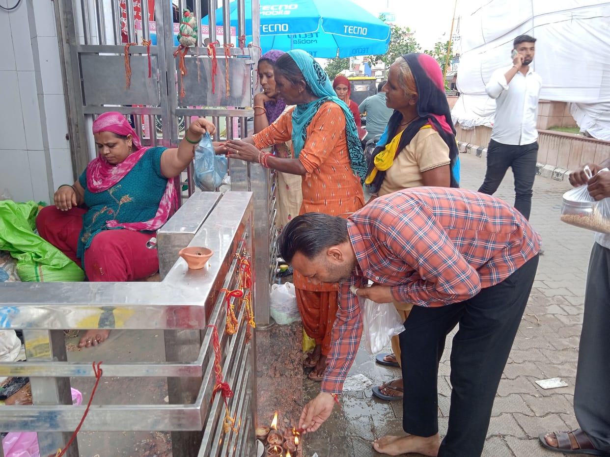 Festival of Goga Navami celebrated with pomp
