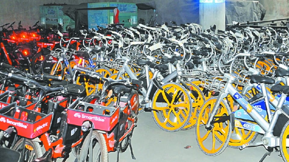 Five thousand cycles will not run in Chandigarh under Public Bike Sharing Scheme this year