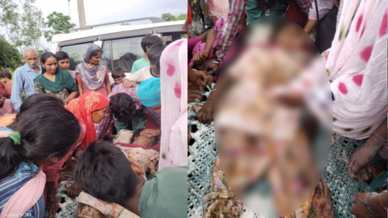 Bijnor Woman died due to breaking of power line, many animals died