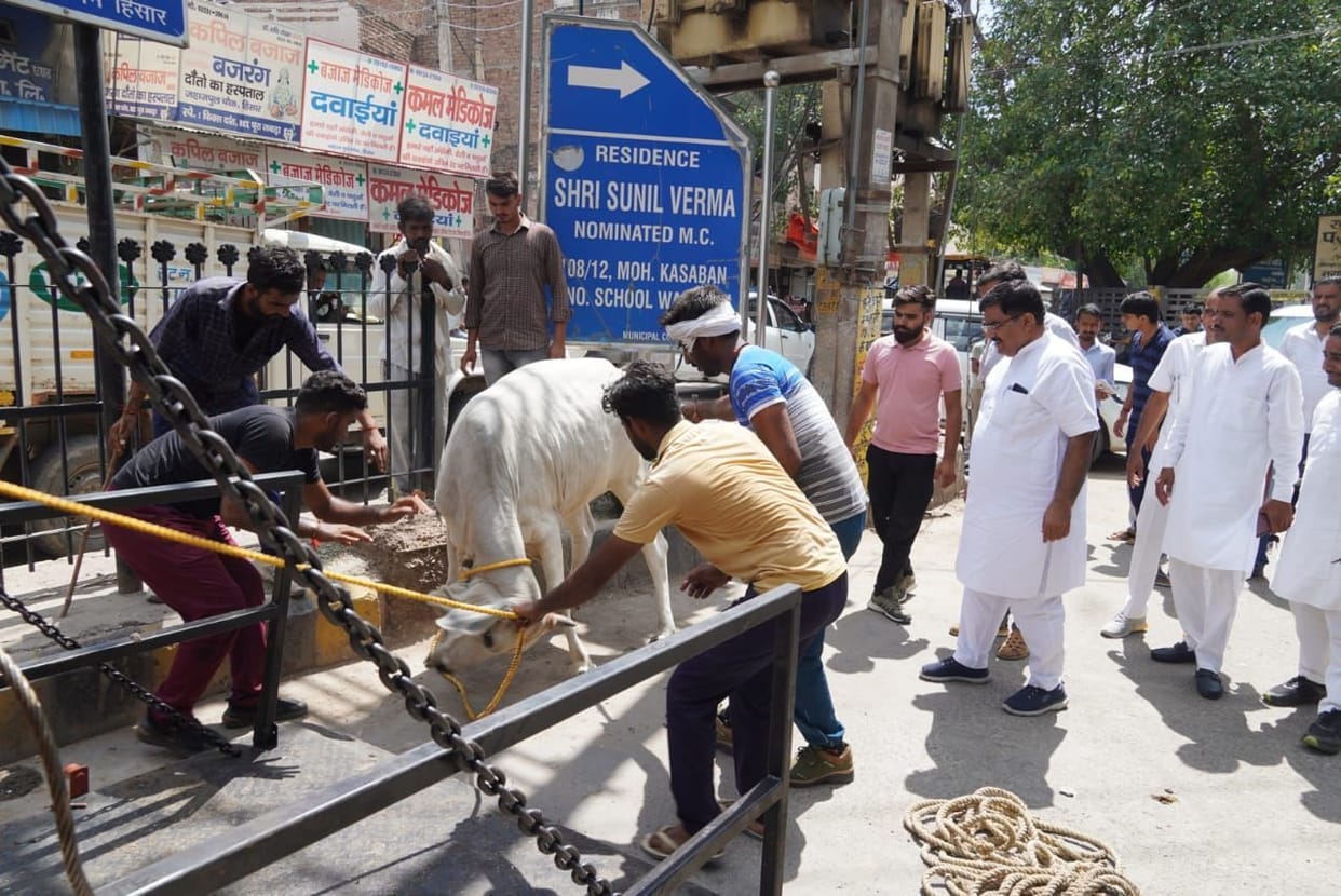Argument with cattle rearers on first day of animal catch campaign for not getting police assistance