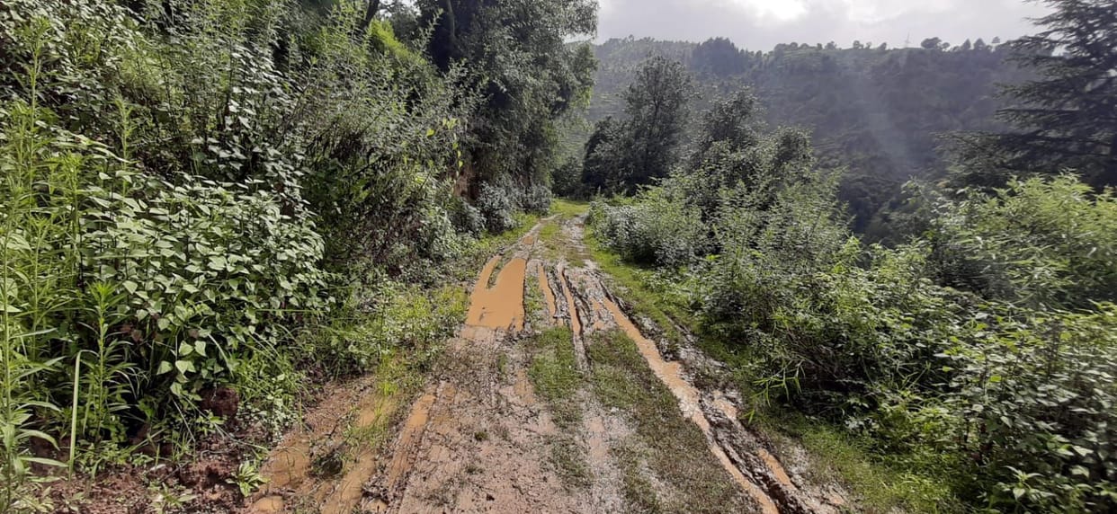 Villagers move by keeping their lives on their palms