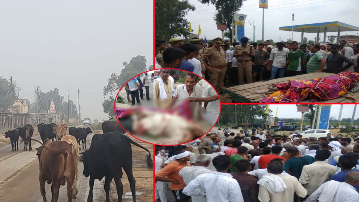 stray cattle killed a Farmer in Muzaffarangar, angry villagers blocked the highway