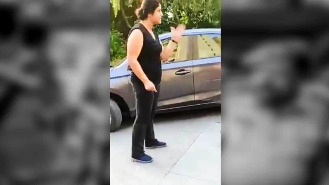 Bhavya Roy: Who is the abusive lady of Noida, know the full story and what has happened in this case so far?