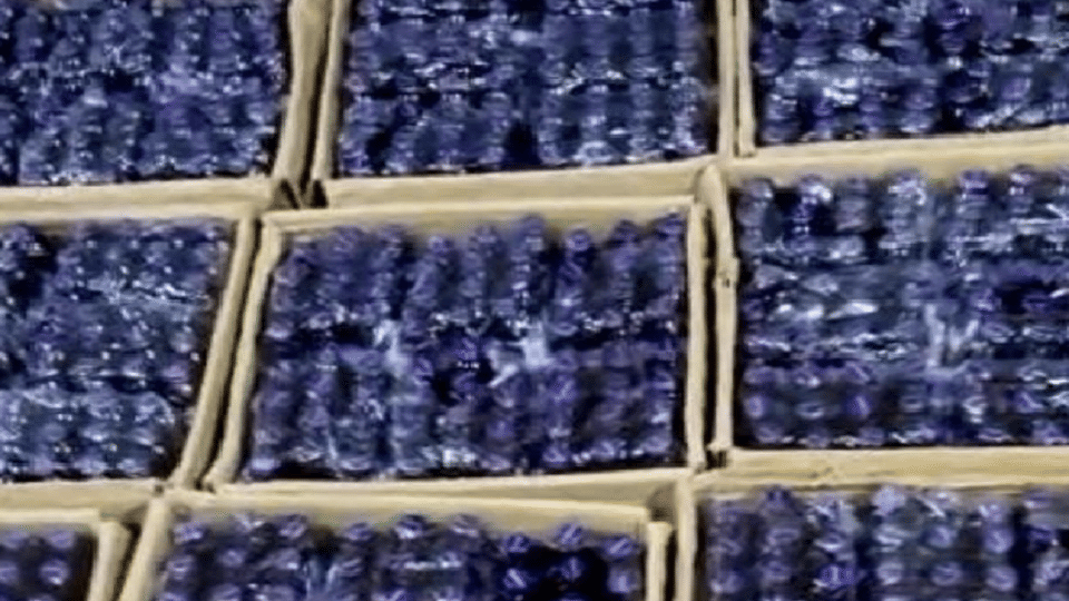 NCB Mumbai busts an interstate drug cartel dealing in illicit trafficking of Codeine Based Cough Syrup