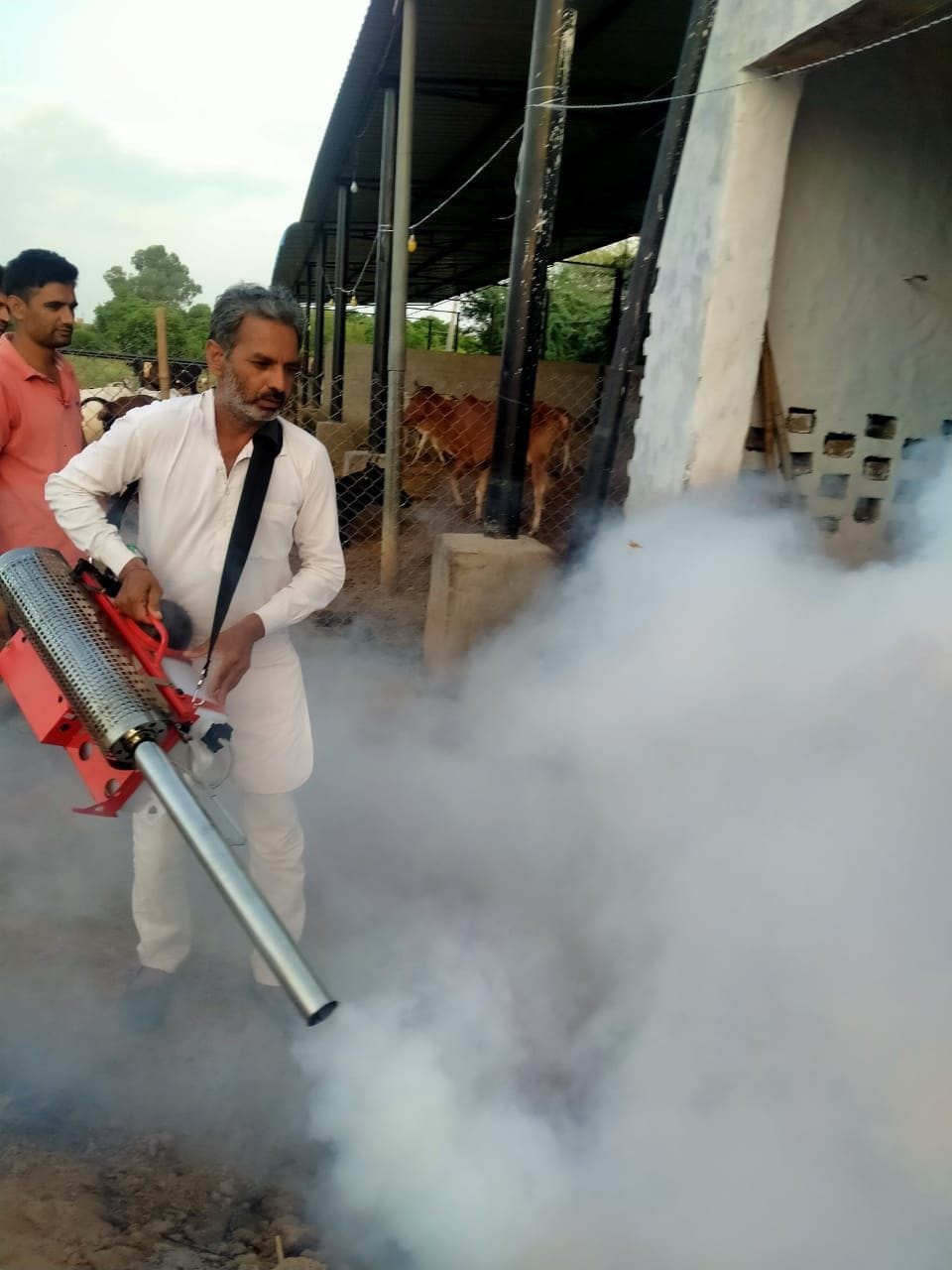 Four cows die of lumpy pox, 174 new found sick