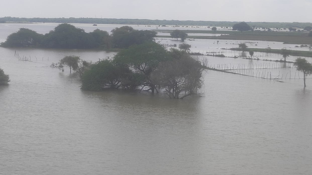 Water level of Yamuna decreased, villagers breathed a sigh of relief