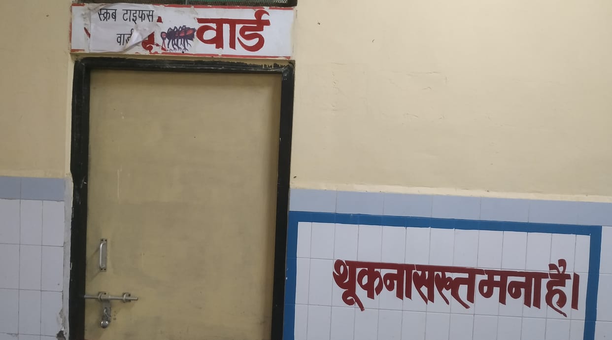 Dengue mosquitoes are not growing anywhere near your homes