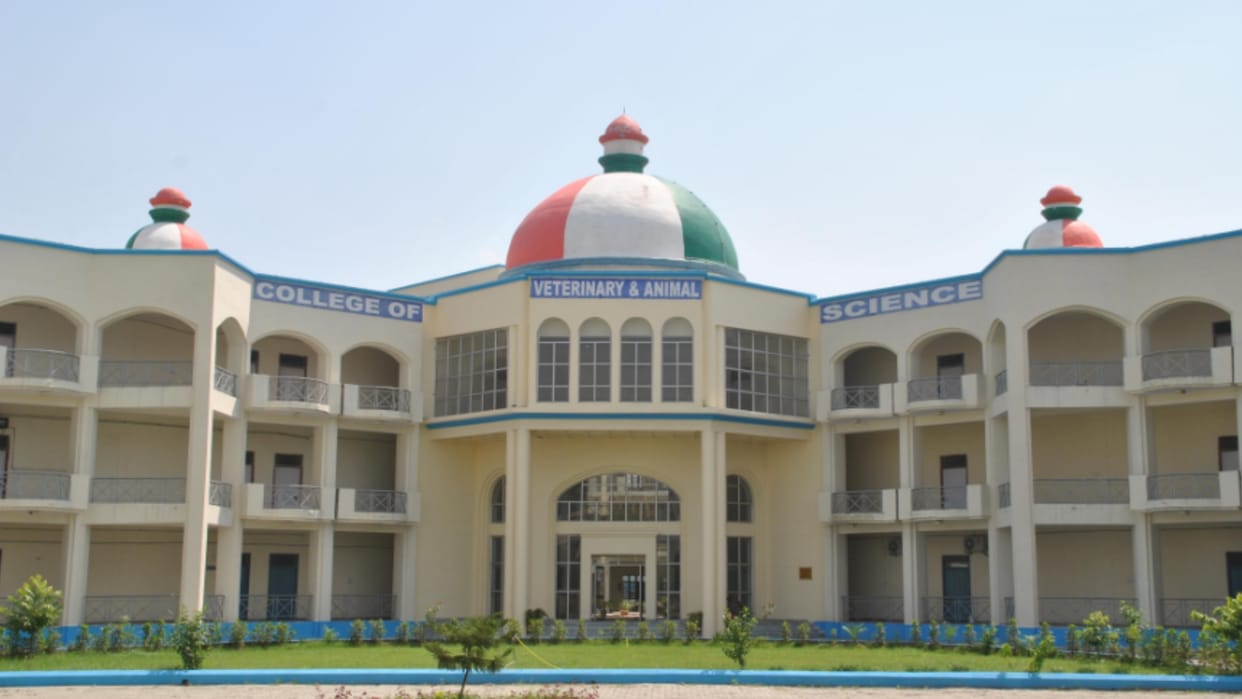 Standard incomplete in Veterinary College of Agriculture University in Meerut, admission process banned