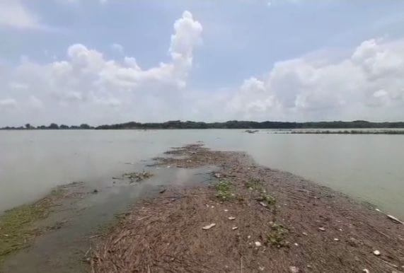 When the water level of Yamuna decreased, the soil started sagging