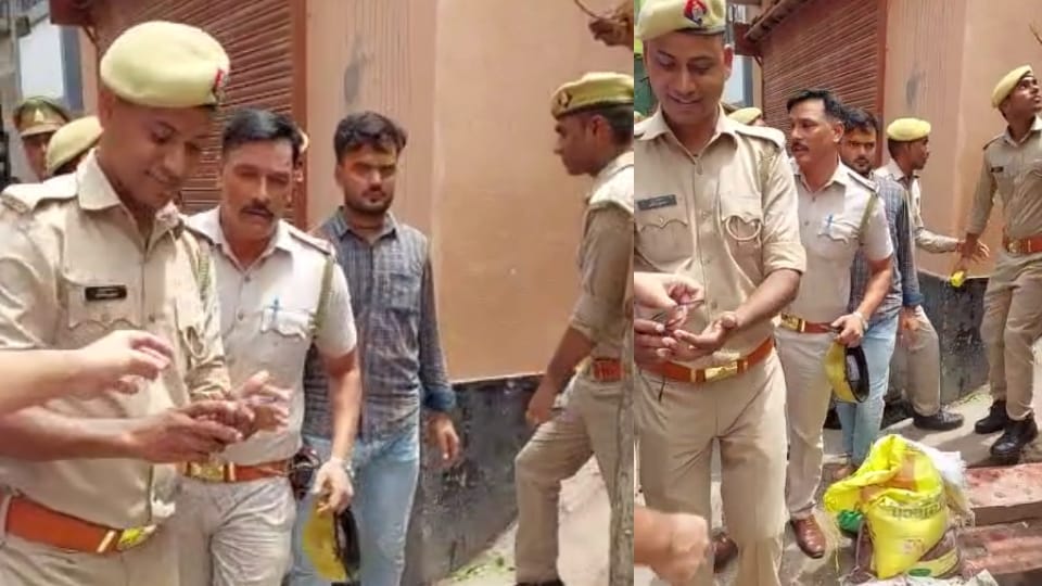 Monkeys took away DM glasses to inspect Banke Bihari temple Vrindavan Mathura news
