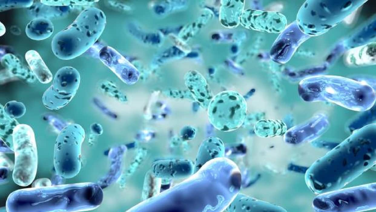 Scientist Found Most Mysterious Creature Know Interesting Facts in Hindi