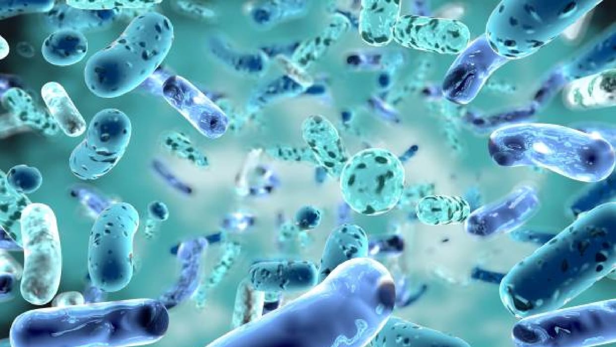 Scientist Found Most Mysterious Creature Know Interesting Facts in Hindi