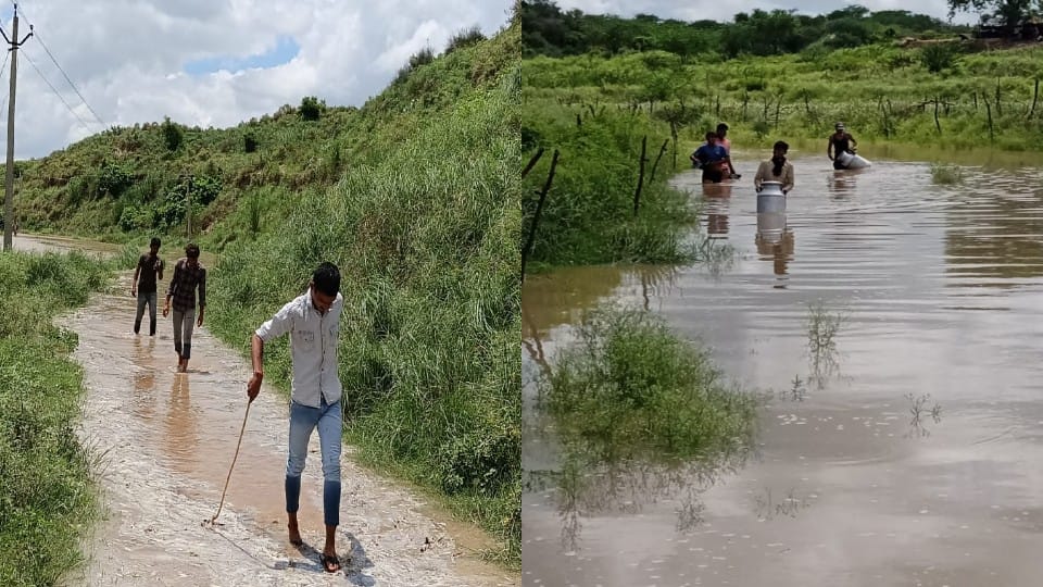 Flood Alert amid rising water level of the Chambal river in Agra District