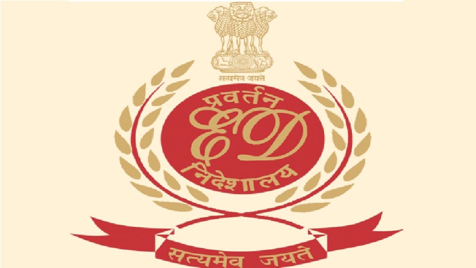 ED attaches 87 properties NGHI Developers Viva Group managing director Mehul Thakur granted bail