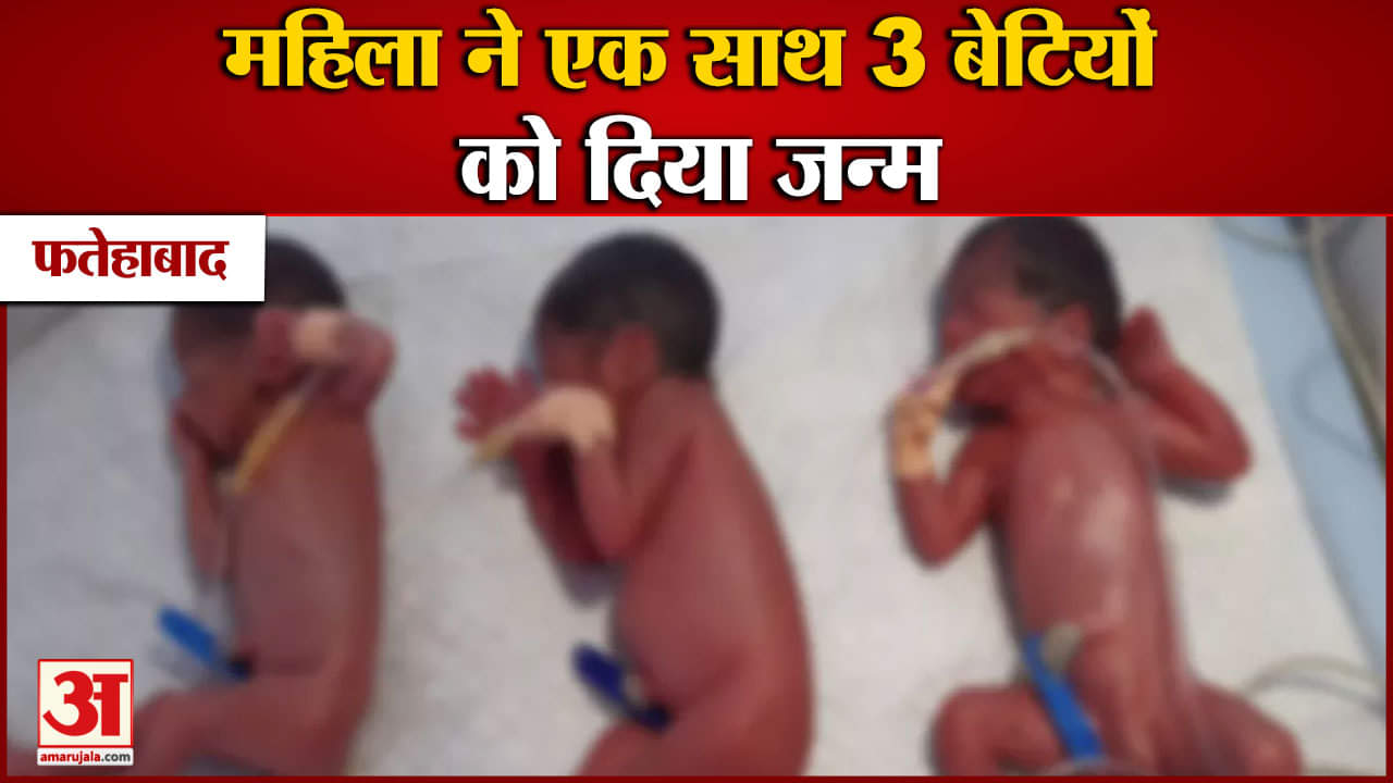 फतेहाबाद