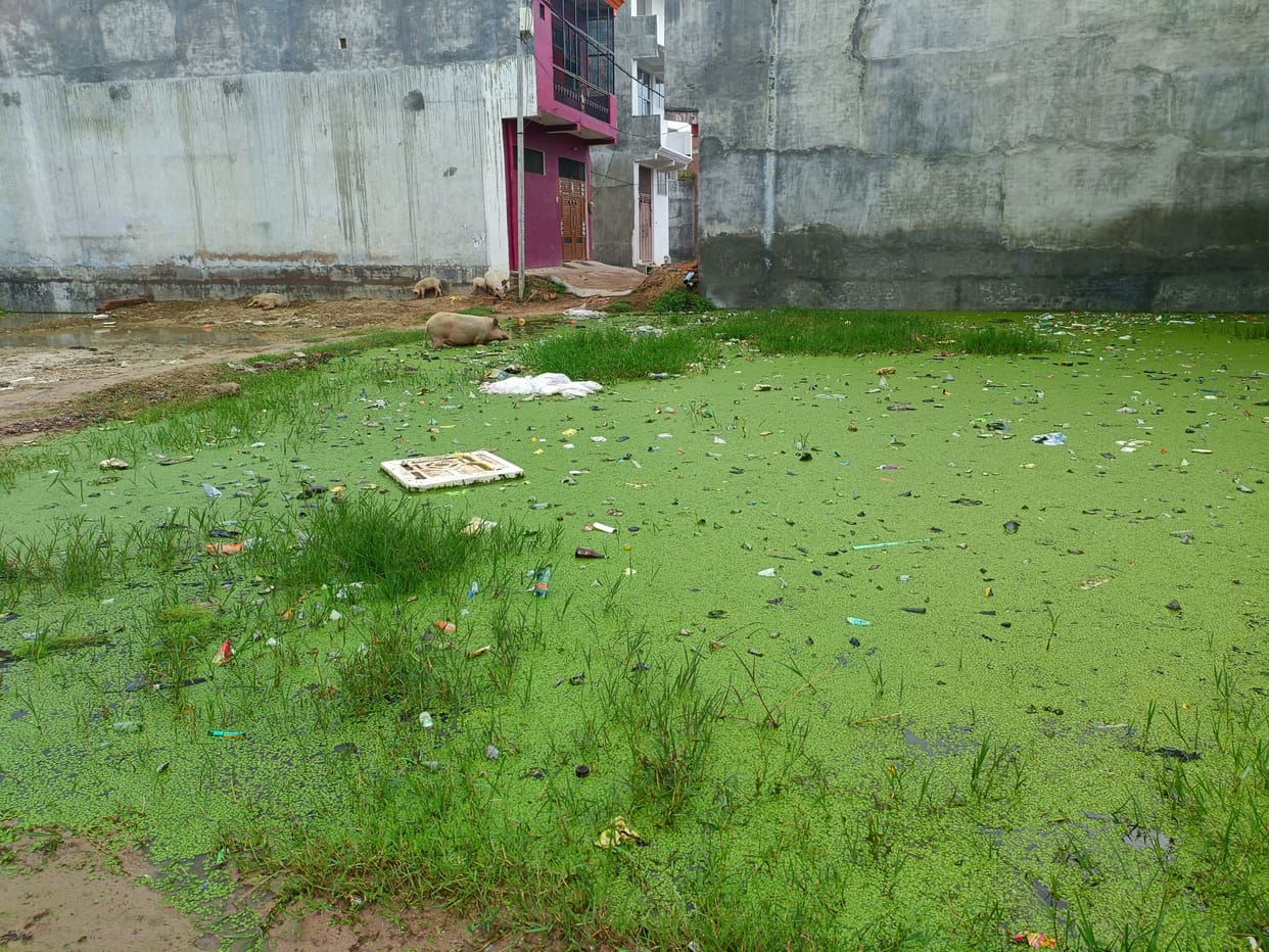 Waterlogging in vacant plots and streets