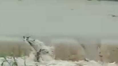 gates of many dams including Kolar and Tawa have been opened after heavy rains in Sehore