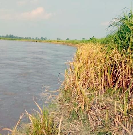 Sharda river cutting in agricultural area in Daulatapur