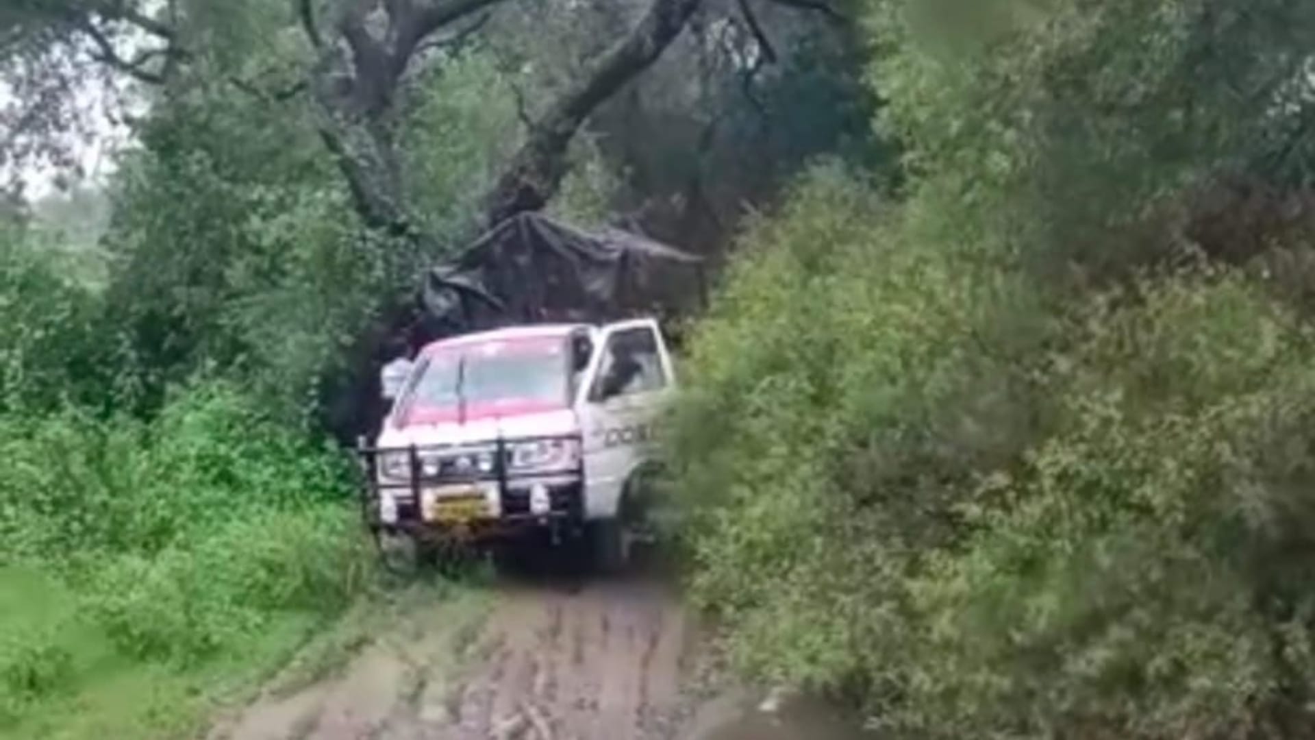 Rain in Shajapur water entered  houses in Shajapur
