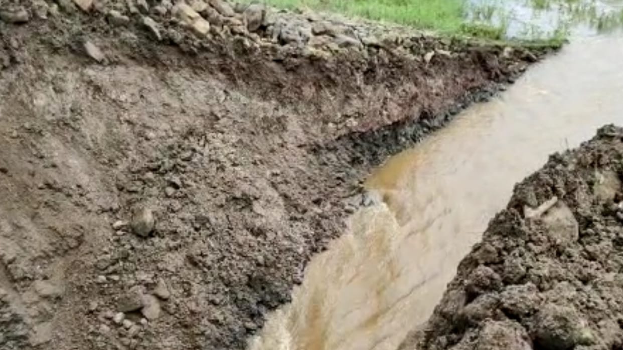 Two dams of the Water Resources Department of Umaria district were damaged