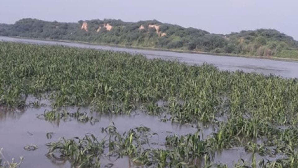 Flood Alert amid rising water level of the Chambal river in Agra District