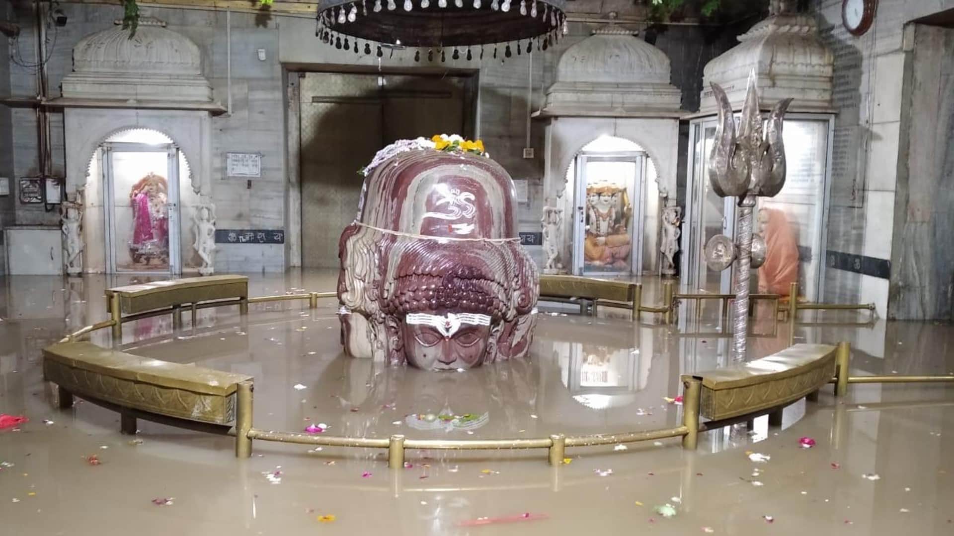 Rainfall Alert in Madhya Pradesh Schools Closed in 12 Districts of MP Train Service Stopped Weather Rain News