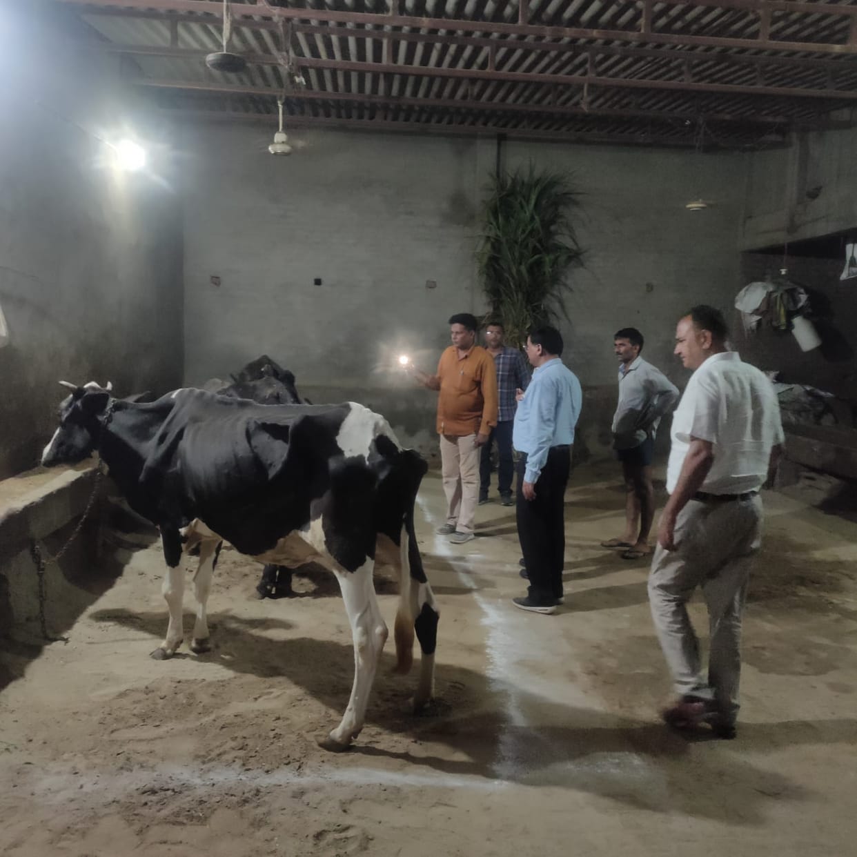 Animal entry banned, 2200 animals sick and six died so far