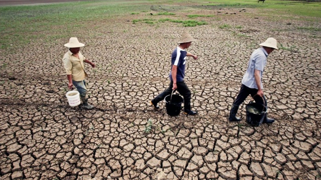 China Drought: Outcry in China, the biggest river dried up, people craving for drinking water, malls closed