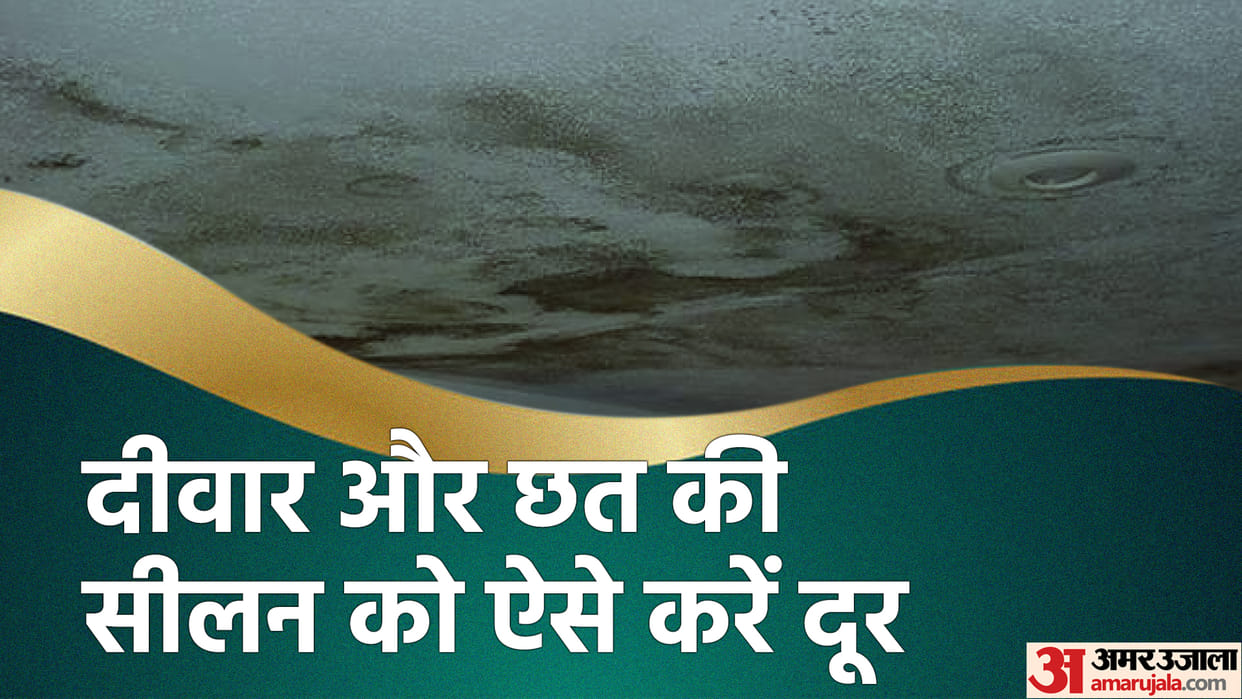 How to Get Rid of Dampness in the Home Follow These Step-by-Step Process in Hindi