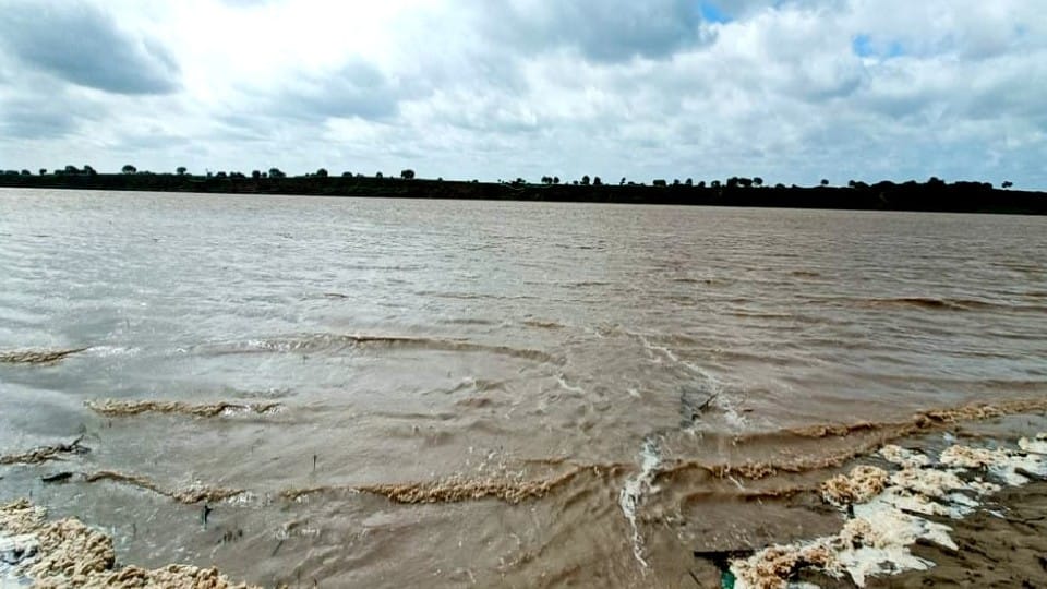Flood in Chambal River record of Year 1996 may be broken in agra 135.80 meters water level hindi news