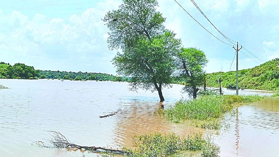 many villages hits flood due to Chambal river water level rising in agra